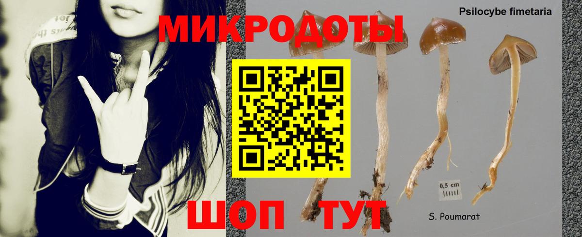 Галлюциногенные грибы прущие грибы  Вход с VPN  Псилоцибиновые грибы Psilocybe  Королёв 